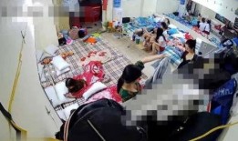 爆料女生宿舍视频大全免费观看,免费观看视频大全大揭秘