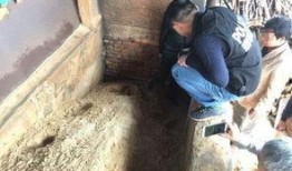 广西砂石场爆料案件最新